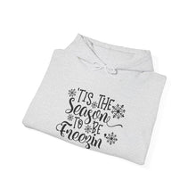 Load image into Gallery viewer, Tis the Season to be Freezin