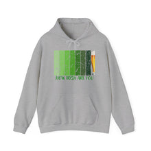 Load image into Gallery viewer, How Irish Are You Unisex Heavy Blend™ Hooded Sweatshirt
